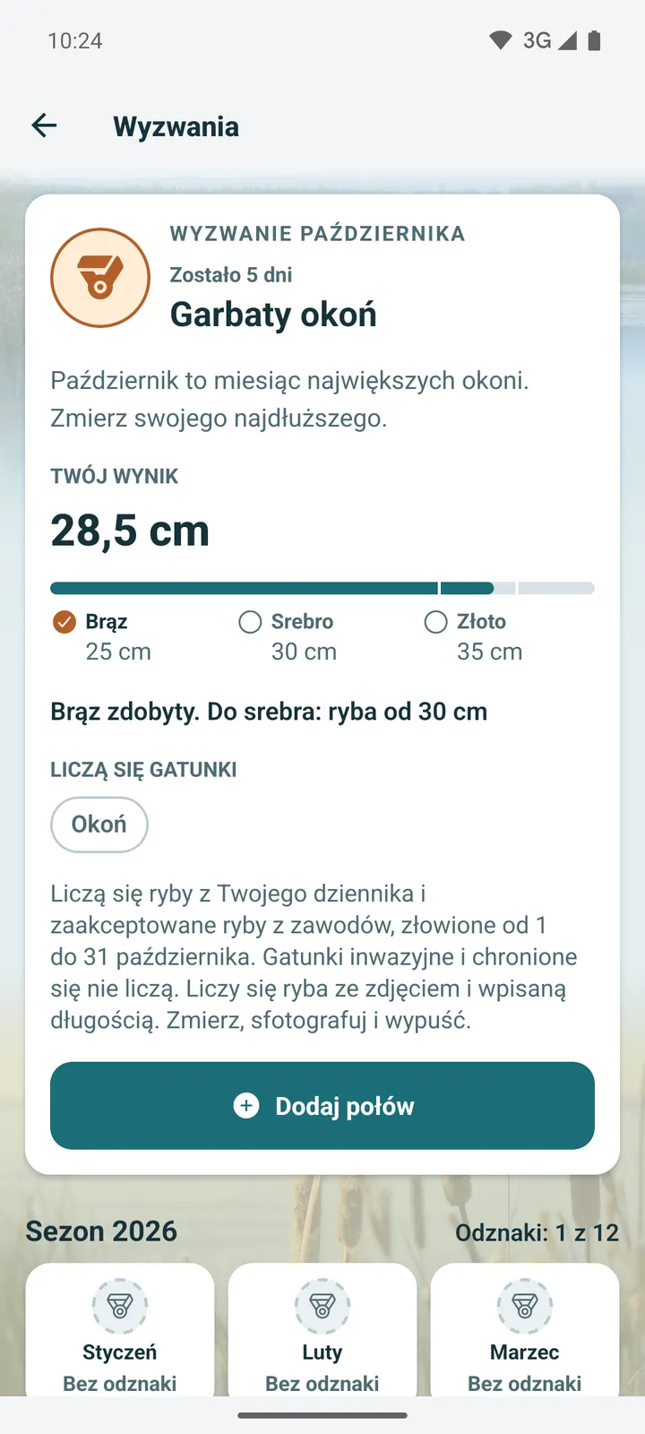 Wyzwanie października Garbaty okoń z progami brązu, srebra i złota